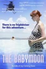 The Babymoon (2017)