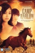 Camp Harlow (2014)