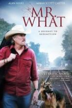 Mr What (2015)