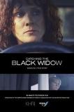 Catching the Black Widow (2017)