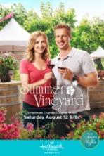 Summer in the Vineyard