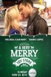 A Very Merry Toy Store (2017)