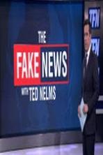 The Fake News with Ted Nelms (2017)