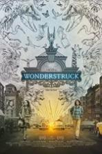 Wonderstruck ( 2017 )