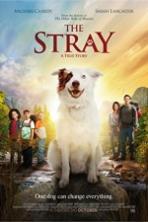 The Stray ( 2017 )