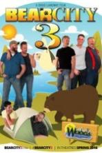 BearCity 3 ( 2016 )