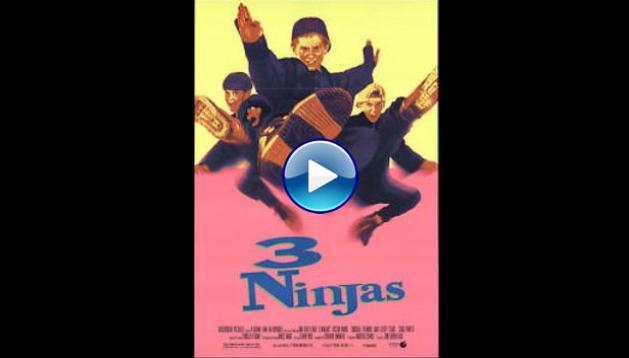 3 Ninjas (1992)