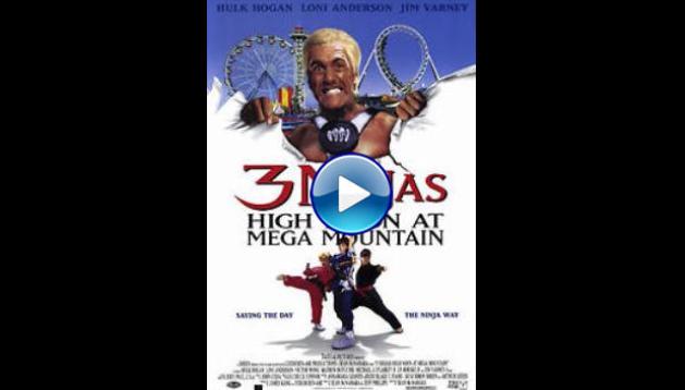 3 Ninjas: High Noon at Mega Mountain (1998)