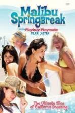 Malibu Spring Break (1969)