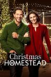 Christmas in Homestead (2016)