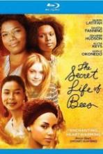 The Secret Life of Bees (2008)