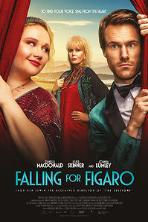 Falling for Figaro (2021)