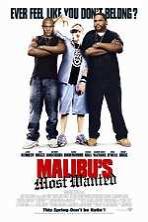 Malibu's Most Wanted (2003)