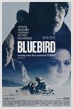 Bluebird (2013)