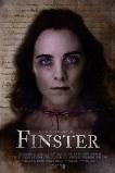 The Notorious Finster (2024)
