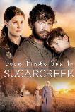 Love Finds You in Sugarcreek (2014)