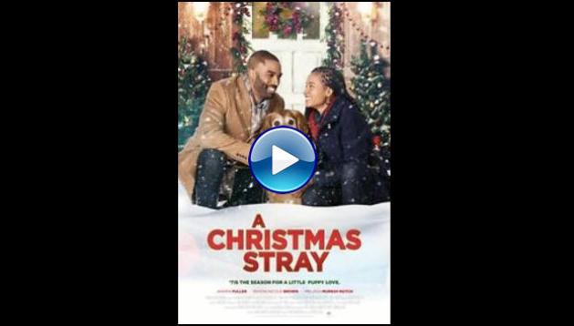 A Christmas Stray (2021)