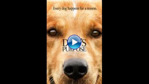 A Dog's Purpose (2017)