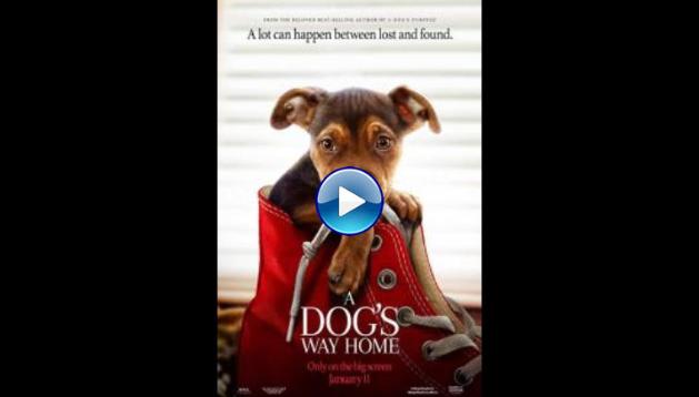 A Dog's Way Home (2019)