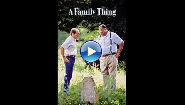 A Family Thing (1996)
