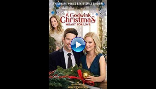 A Godwink Christmas: Meant for Love (2019)