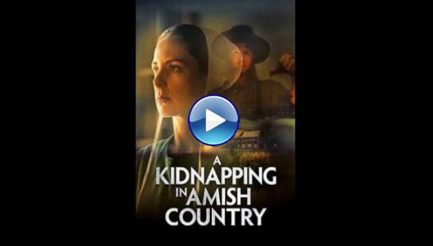 A Kidnapping in Amish Country (2024)