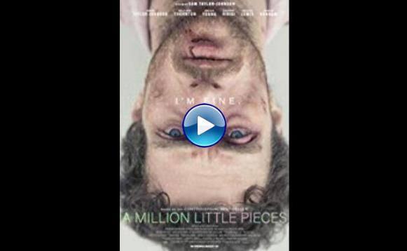 A Million Little Pieces (2018)