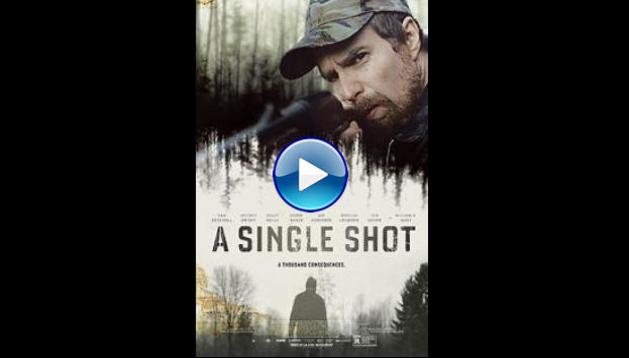 A Single Shot (2013)