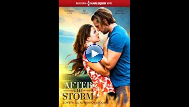 After the Storm (2019)