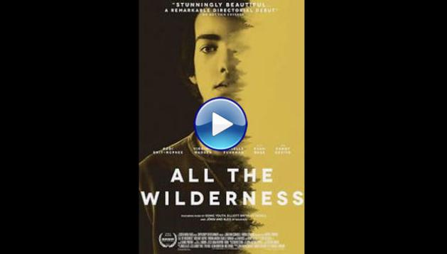 All the Wilderness (2014)