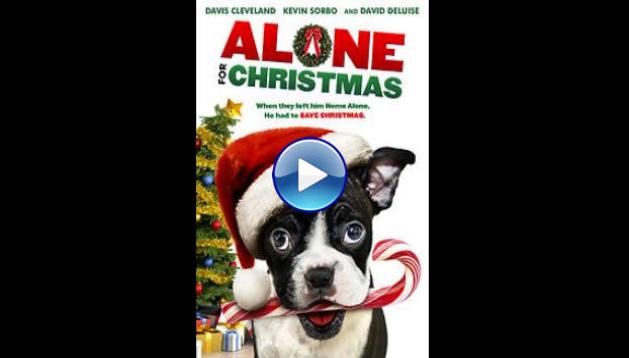 Alone For Christmas (2013)