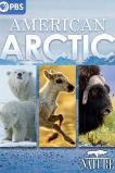 American Arctic (2022)