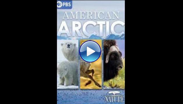 American Arctic (2022)