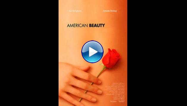 American Beauty (1999)