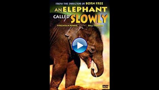 An Elephant Called Slowly (1970) HD Full Movie Watch Online Free