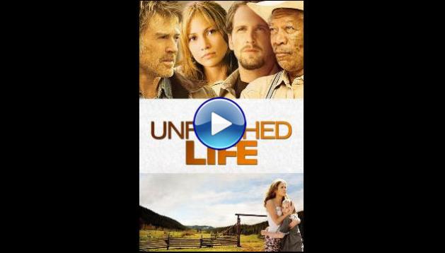 An Unfinished Life (2005)