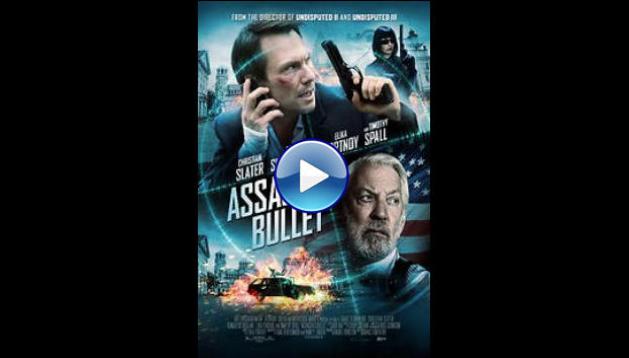 Assassin's Bullet (2012)