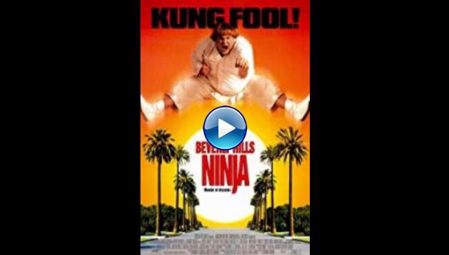Beverly hills ninja