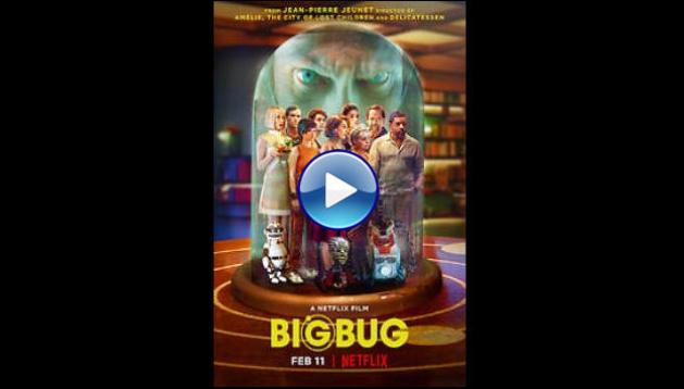 Big Bug (2022)