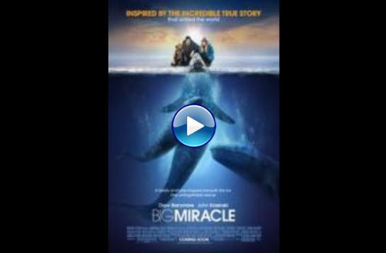 Big Miracle (2012) BluRay Full Movie Watch Online Free