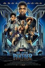 Black Panther (2018)