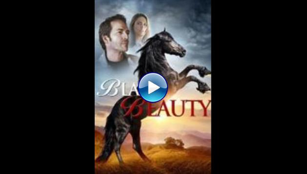 Black Beauty (2015)