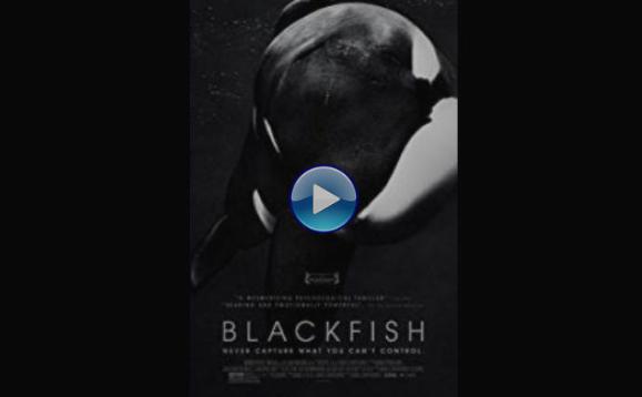 Blackfish (2013)