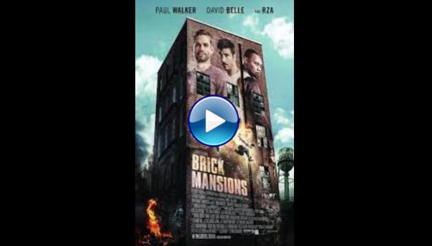 Brick Mansions (2014)