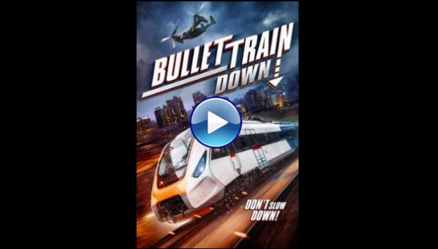 Bullet Train Down (2022)