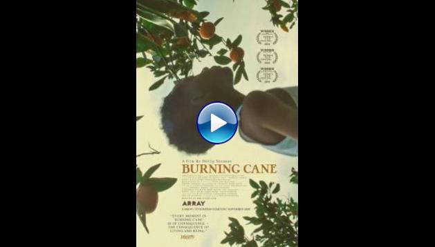Burning Cane (2019) HD Full Movie Watch Online Free