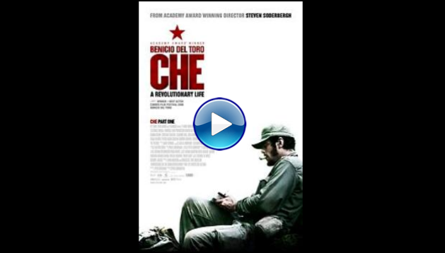 Che: Part One (2008)