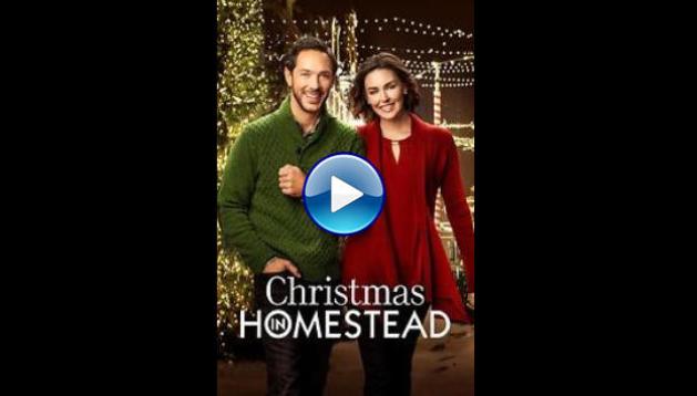 Christmas in Homestead (2016)