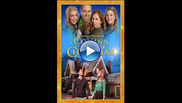 Coming Home for Christmas (2013)