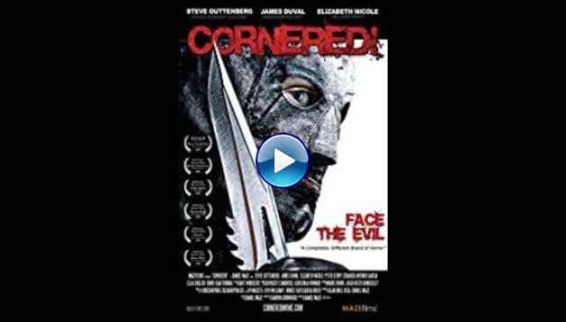 Cornered! (2009)